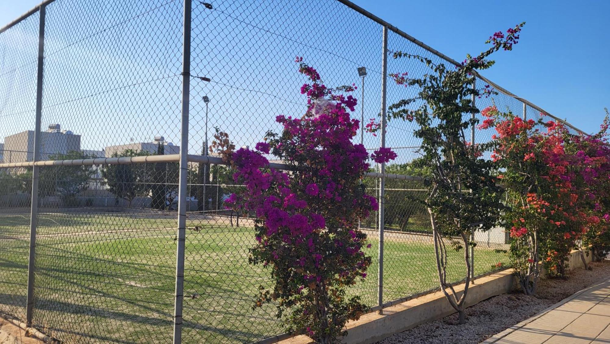 Mythical Sands Resort - Hana Paralimni Pokój zdjęcie